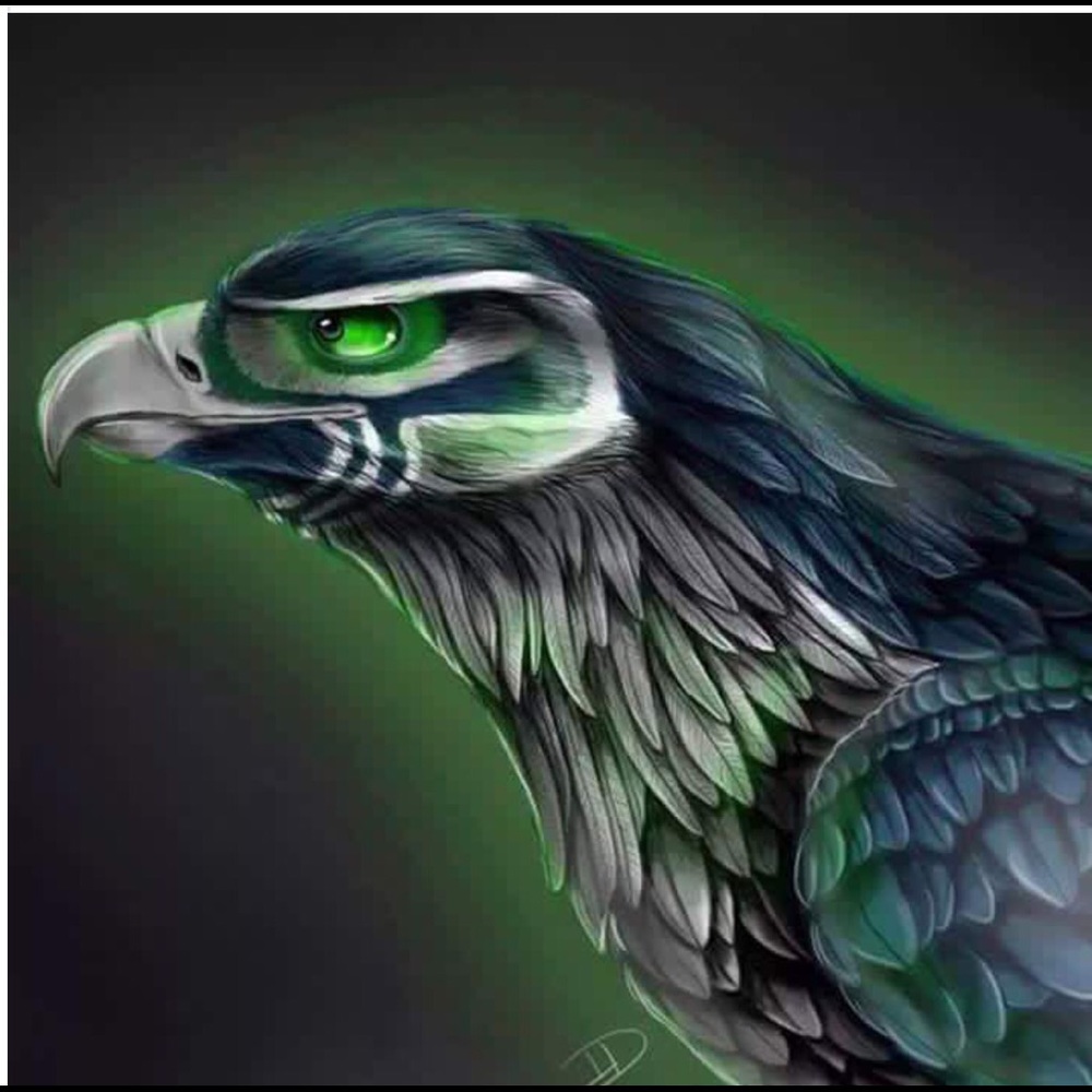 Meet your Posher, Arnette